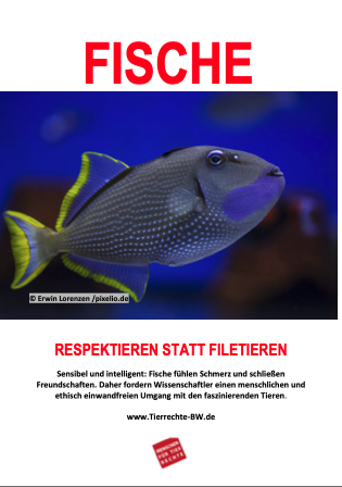 Fische - Respektieren statt Filetieren